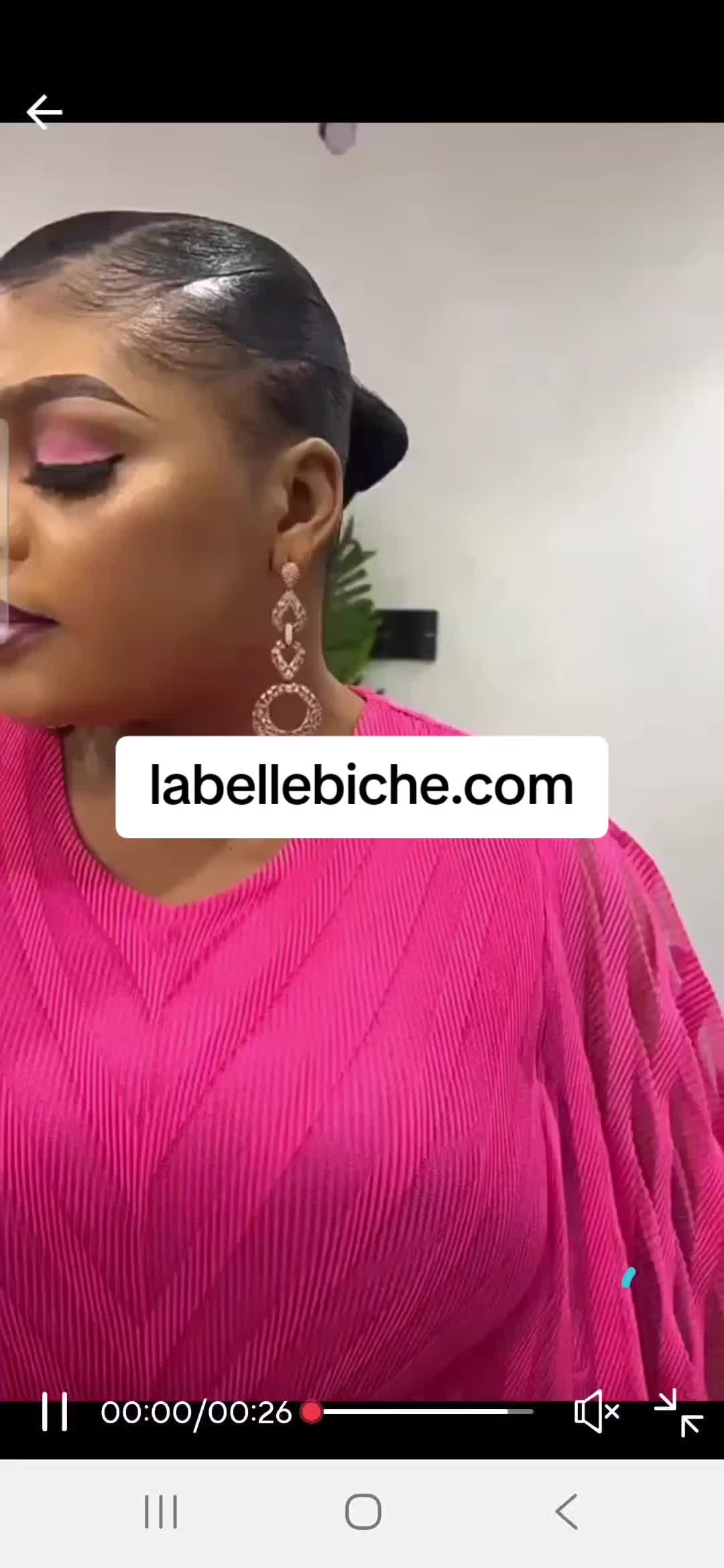 @LaBelleBiche