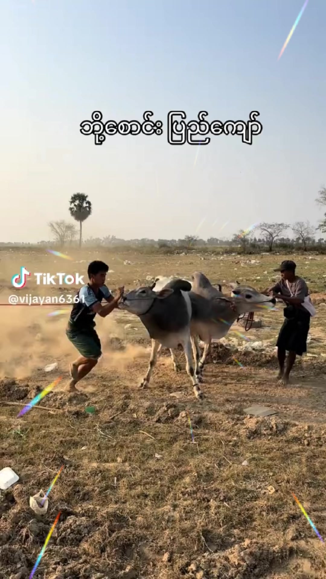 @Siva Yadav2981