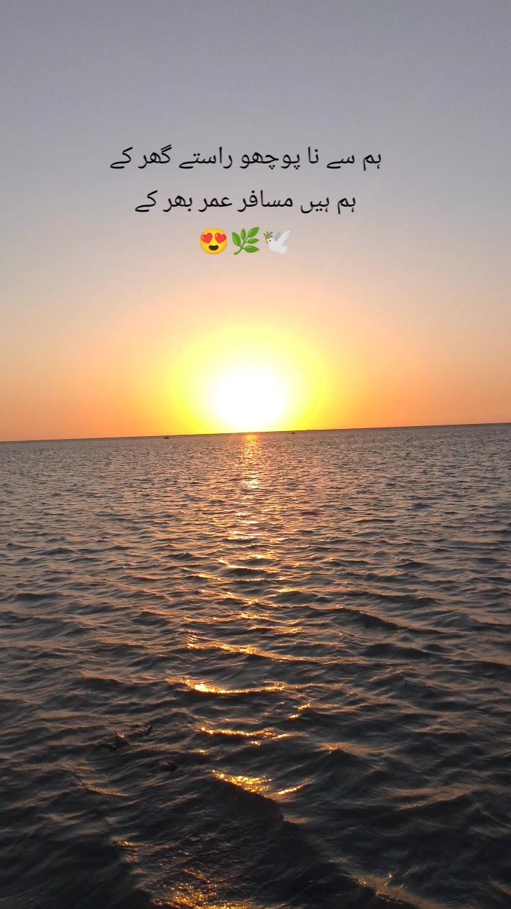 @🕊️