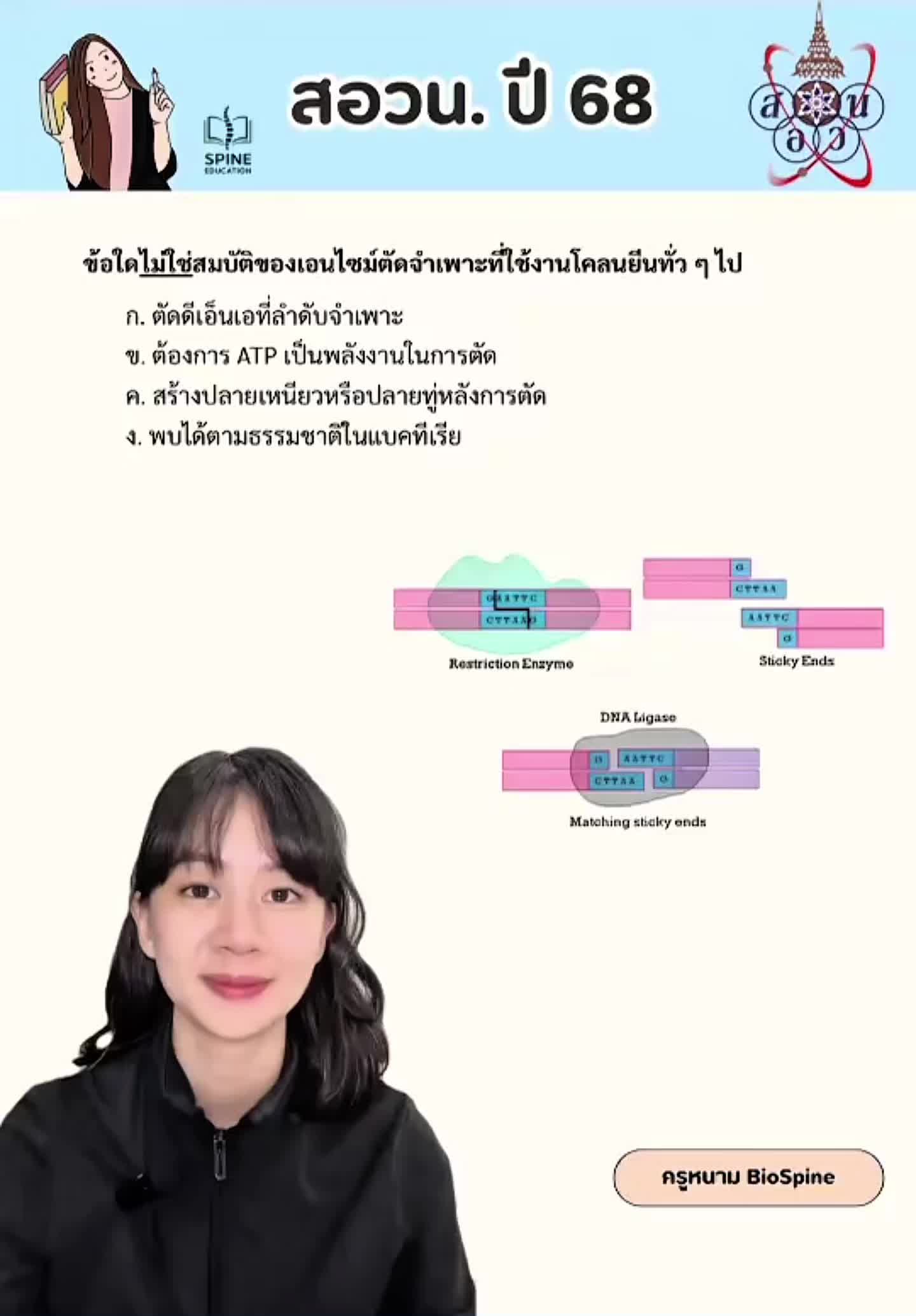 @Biospine by ครูหนาม