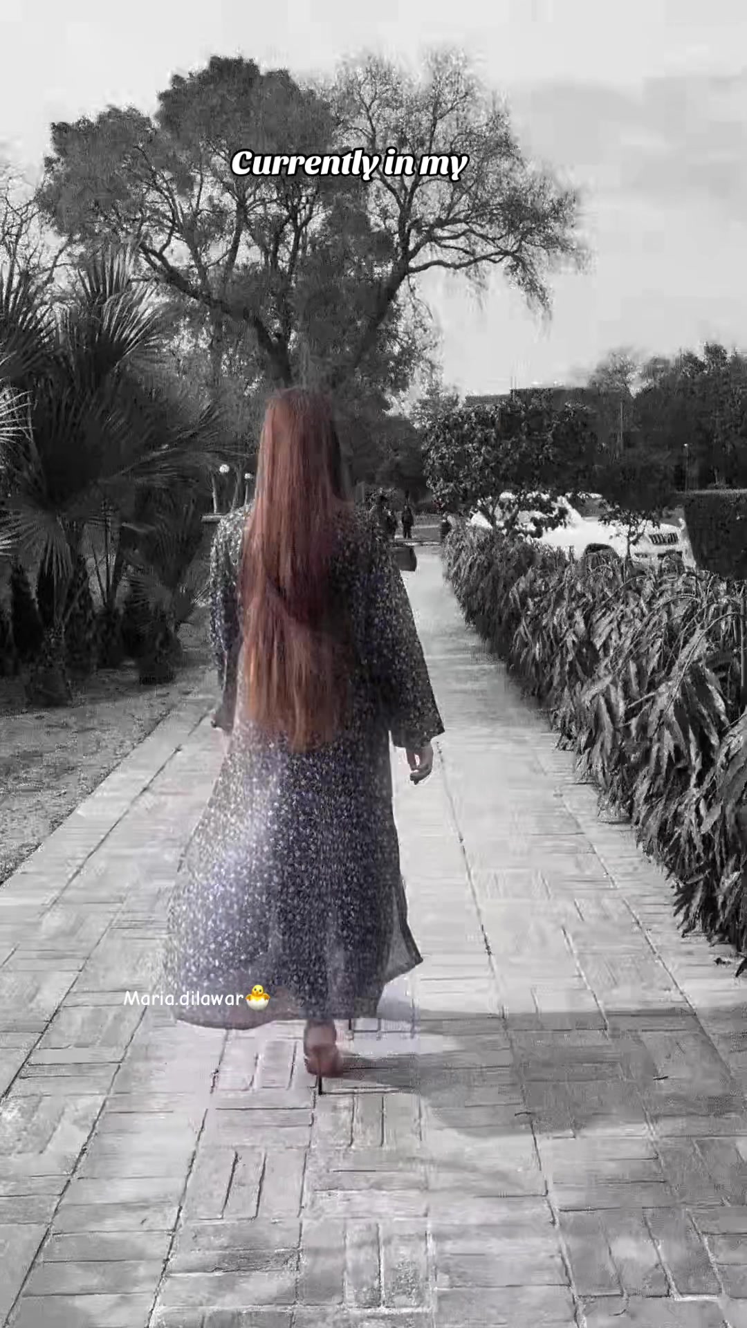 @MariaDilawar🐣