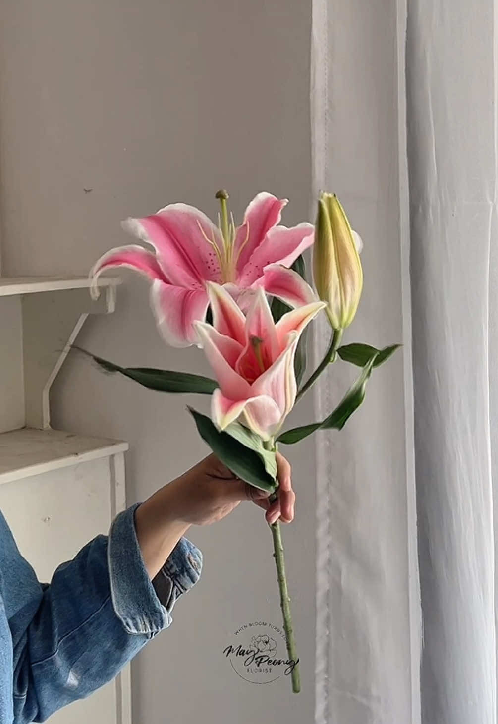 @May Peony Florist
