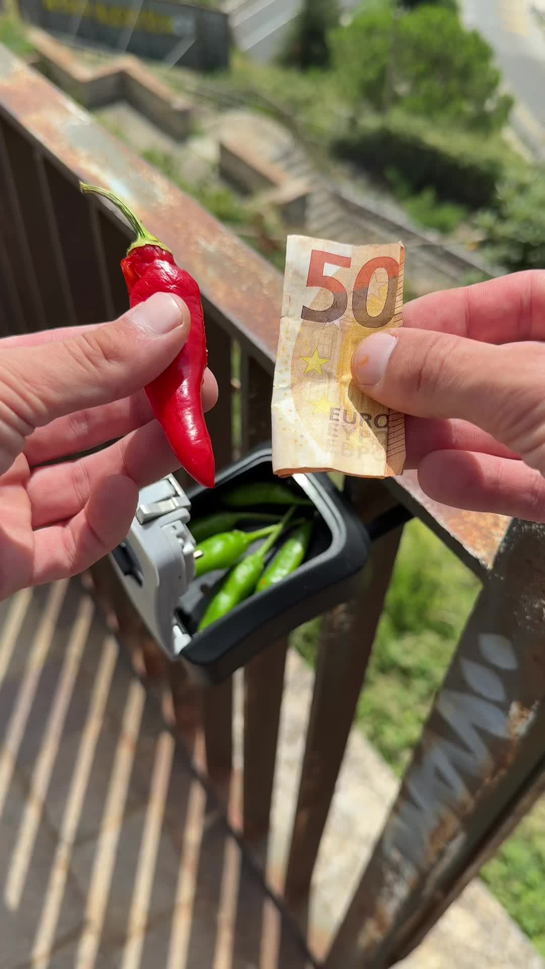 @Cash_Catch_Italy