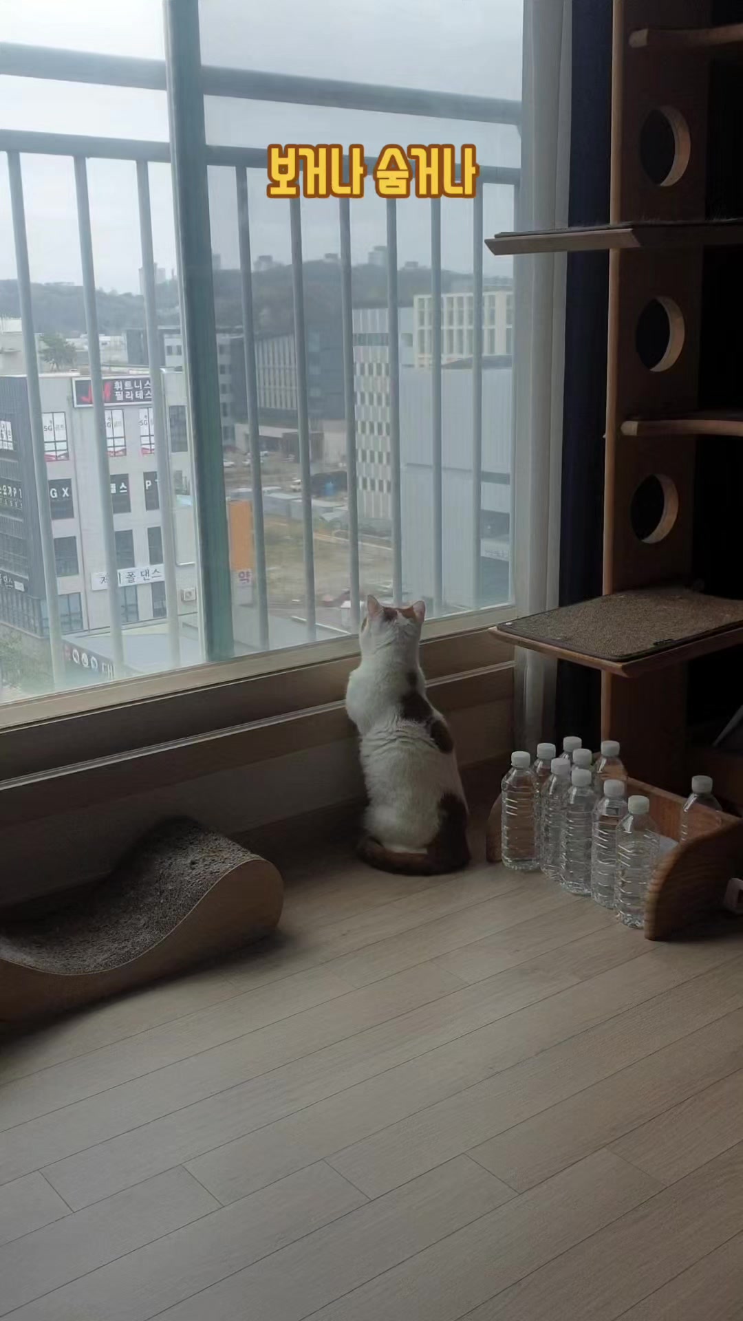 @이폭간