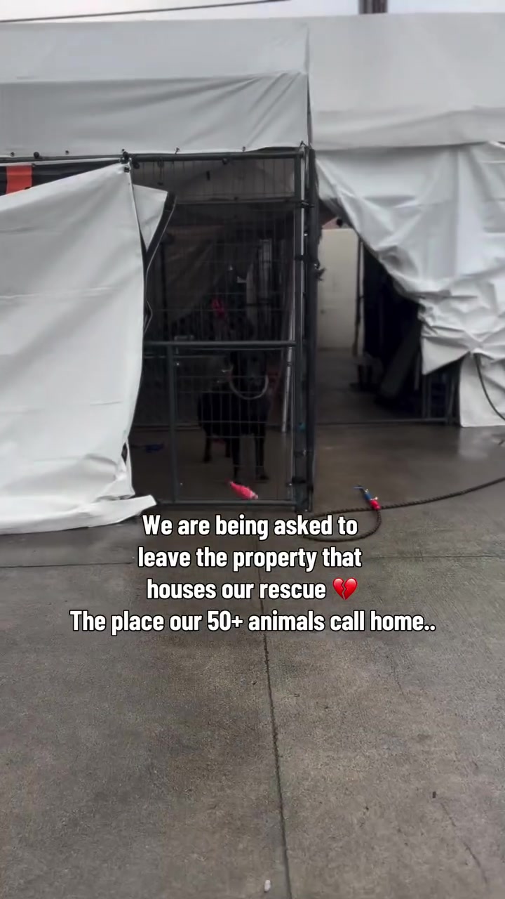 @rescue_with_susan