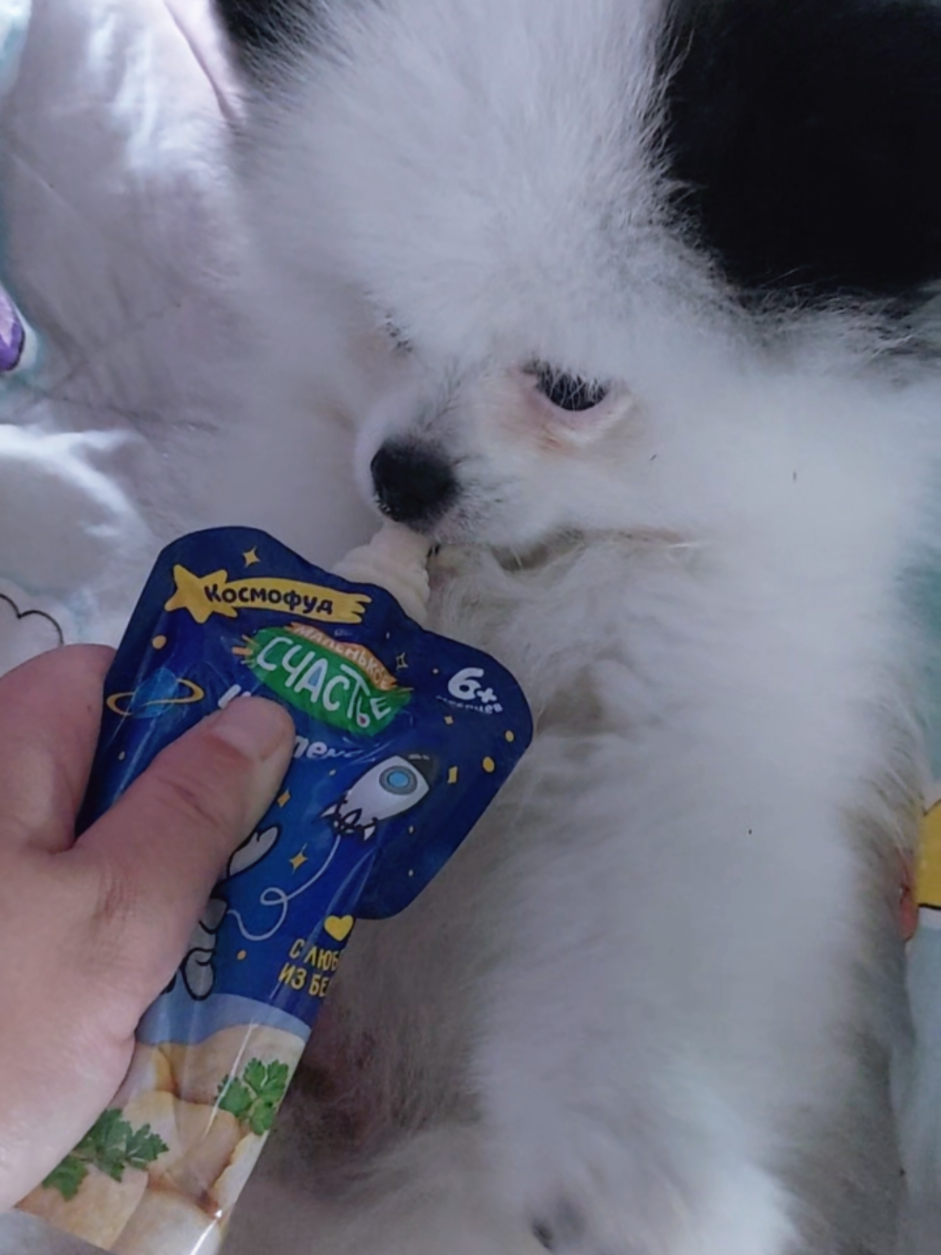 @Миша🐶 Стеша😺 Дуня🐭