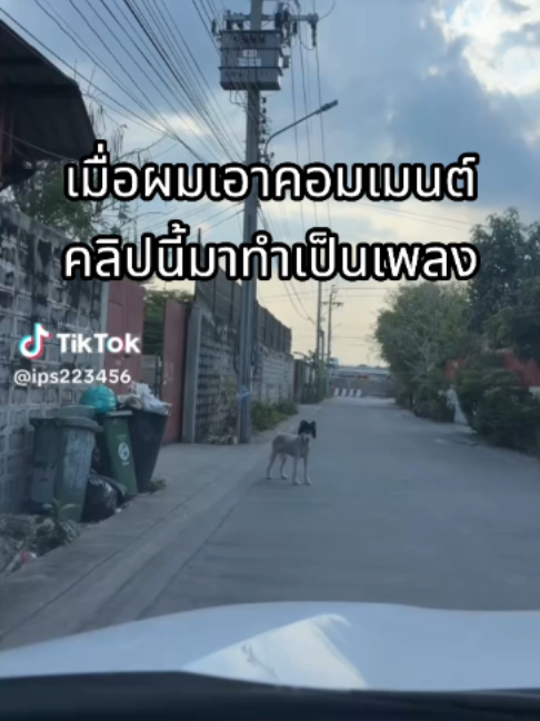 @ผักกาดดด