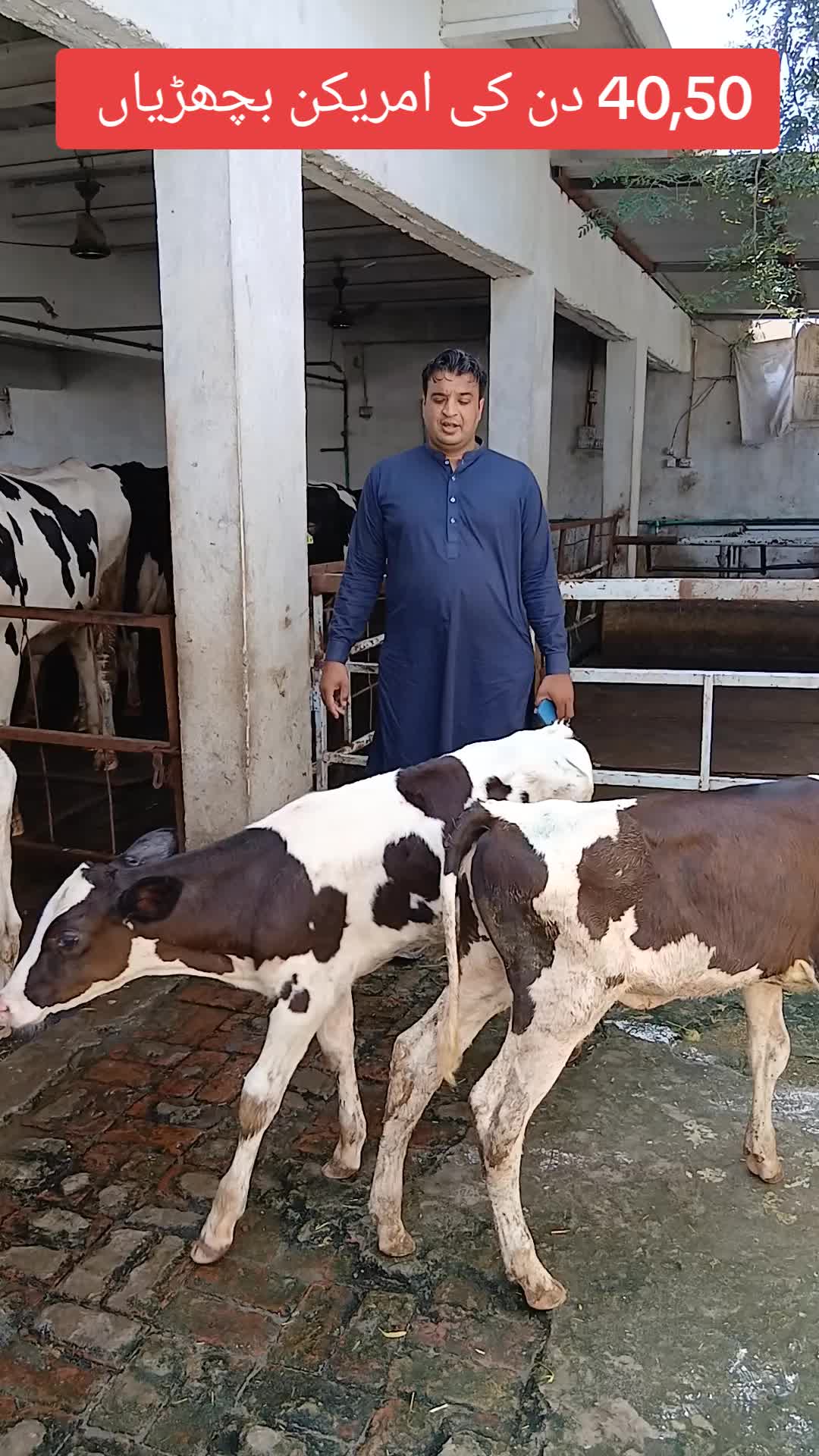 @Farming and Business Ideas