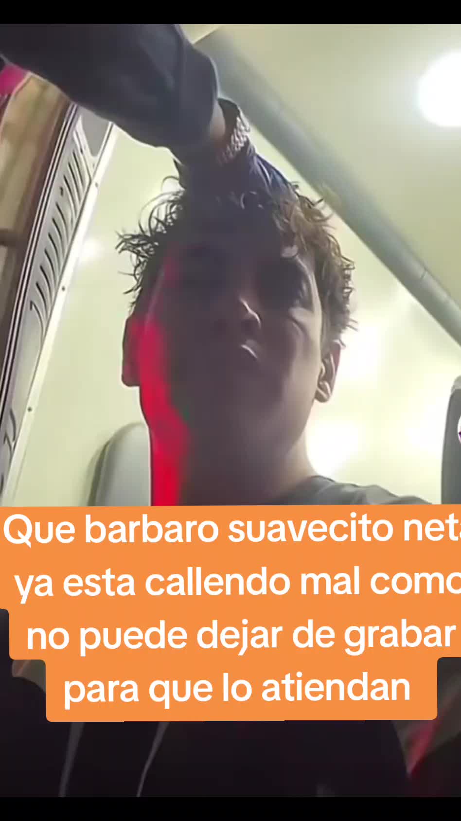 @Chismecito Suculento VIP