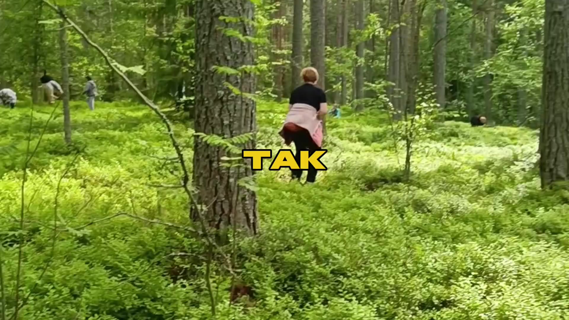 @★МиоРио★