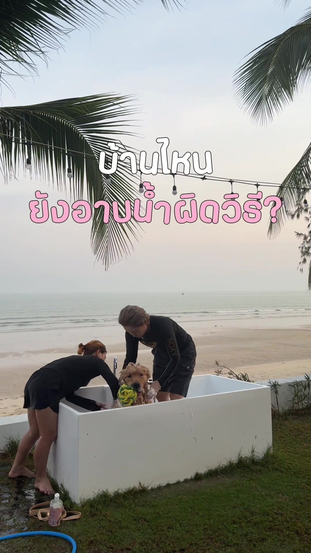 @Joommeng Mee Arai