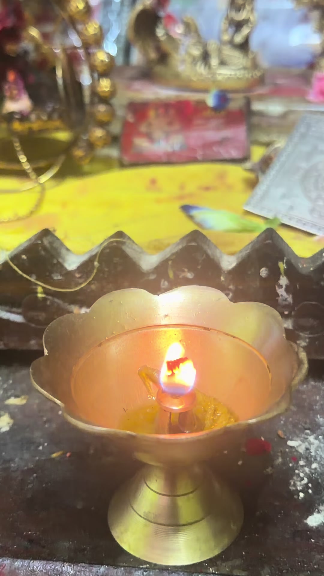 @dipshikha shakya🧿 🧿