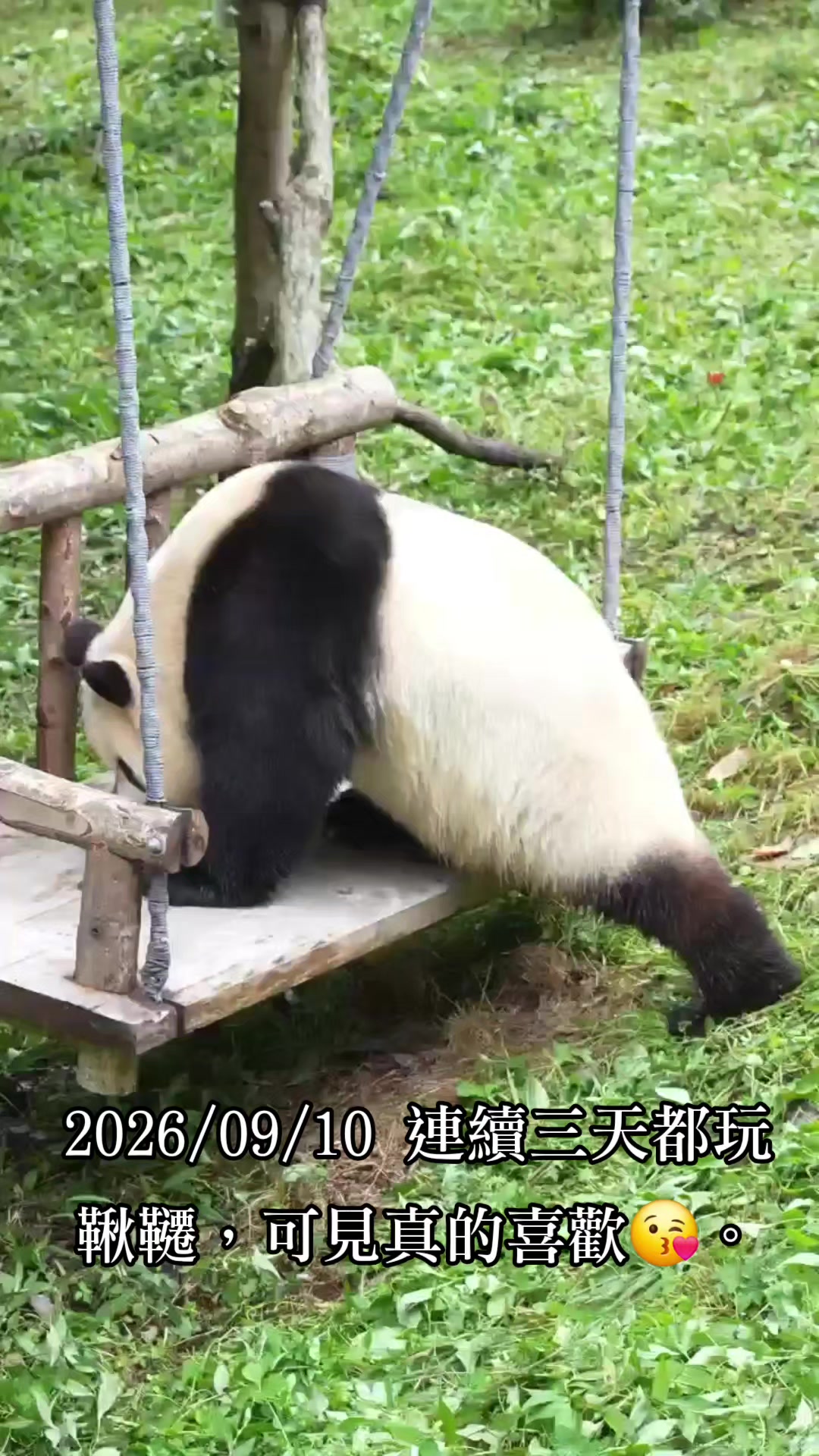 @福寶需要愛的抱抱