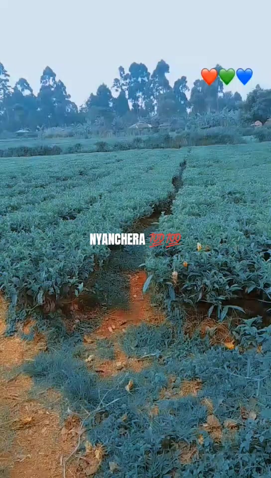 @judith nyanchera