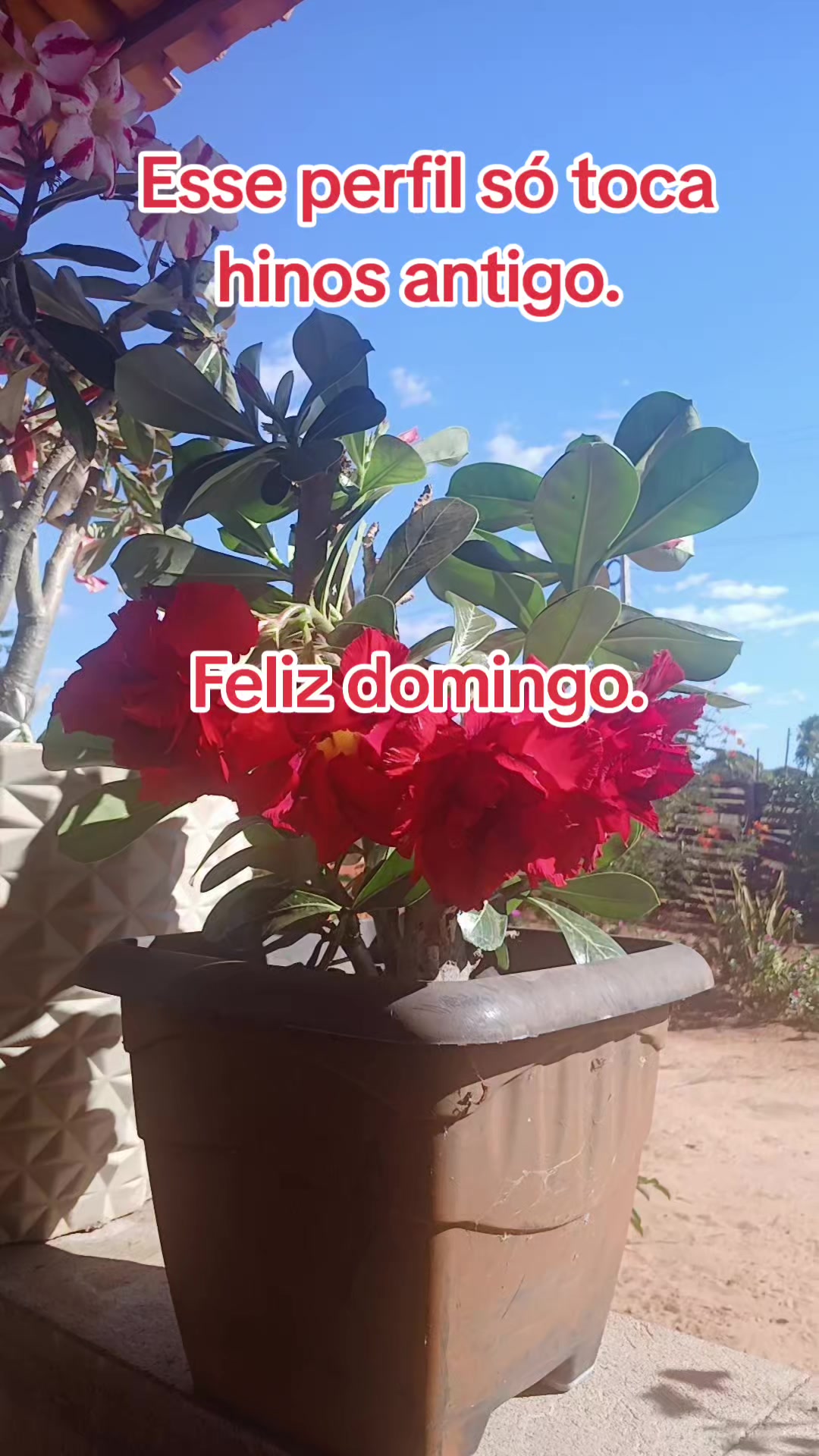 @Louvores