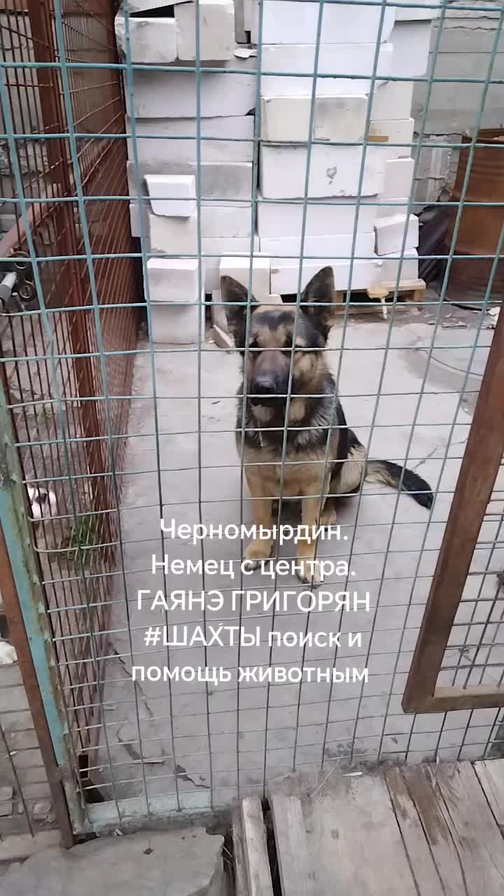 @Гаянэ Григорян