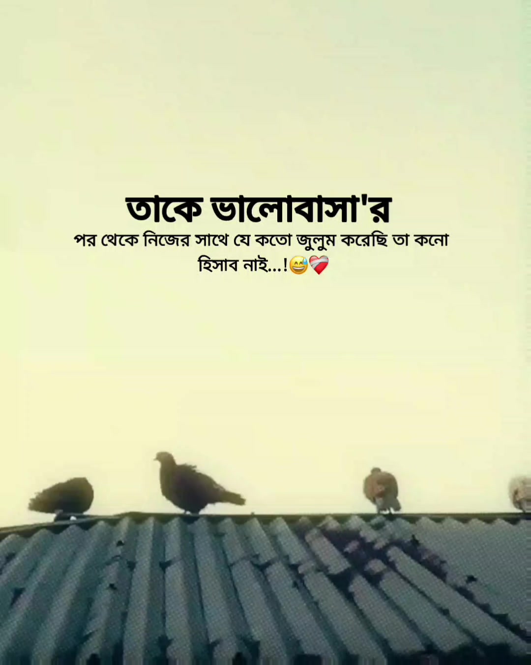 @Rakib Khan
