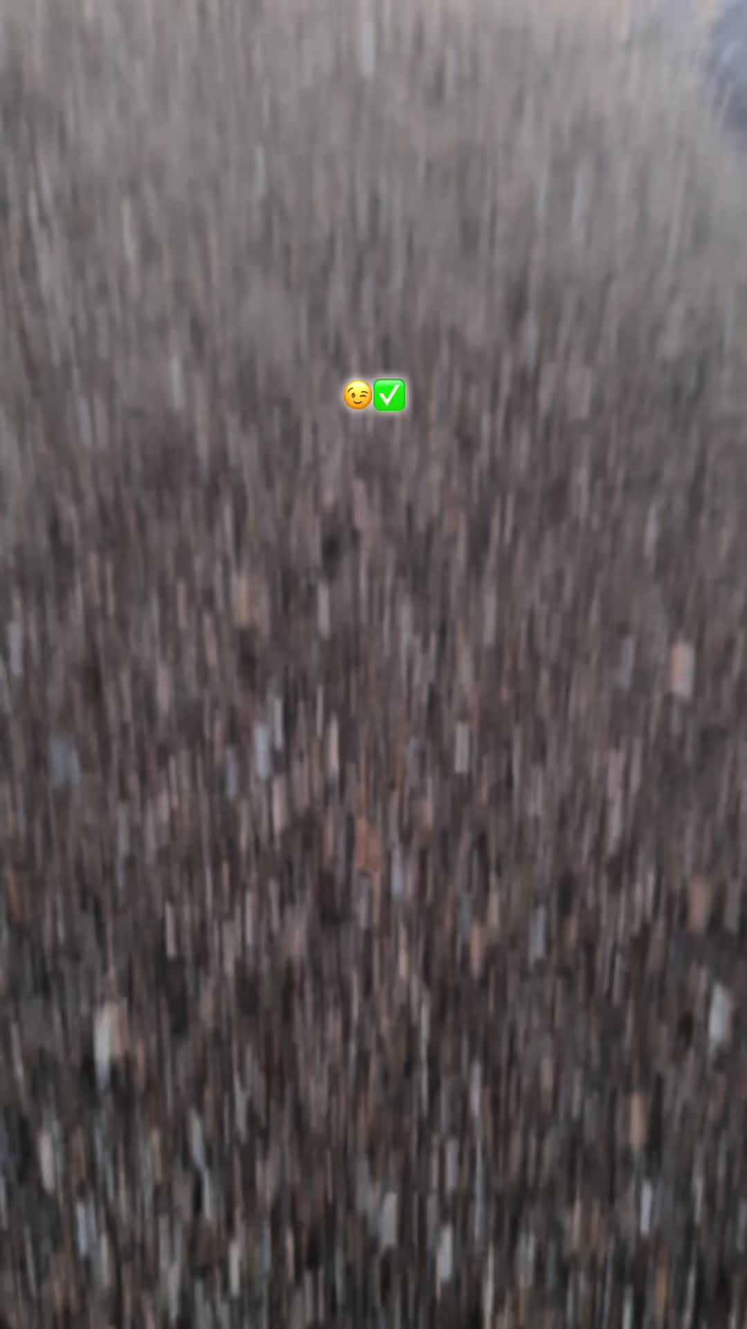 @N 🏄🏻&zwj;♂️