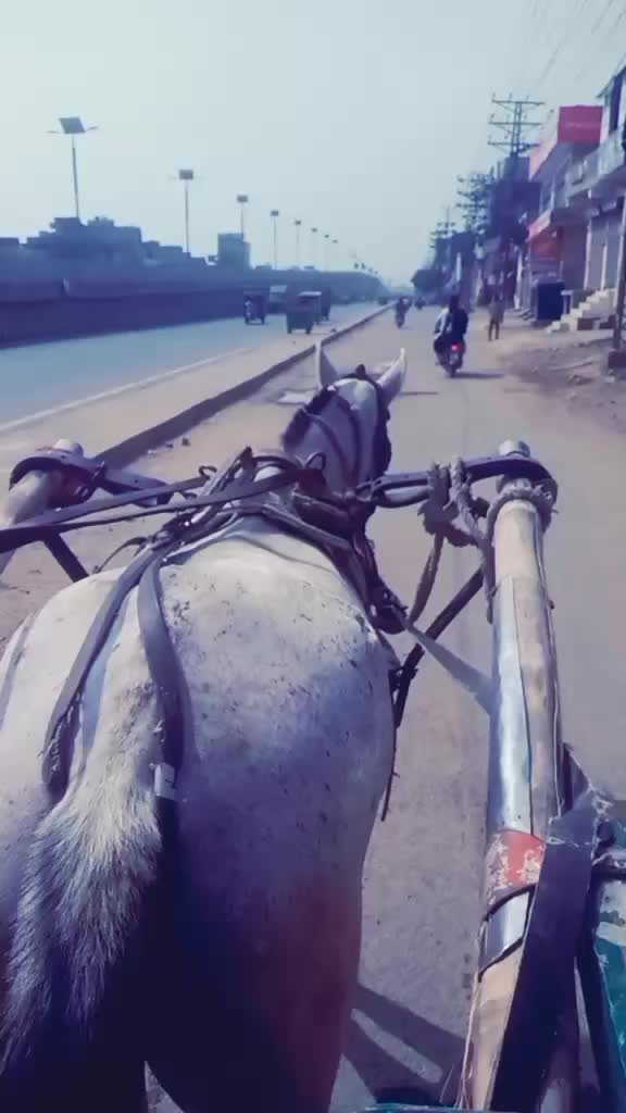 @ladlagujjar4973