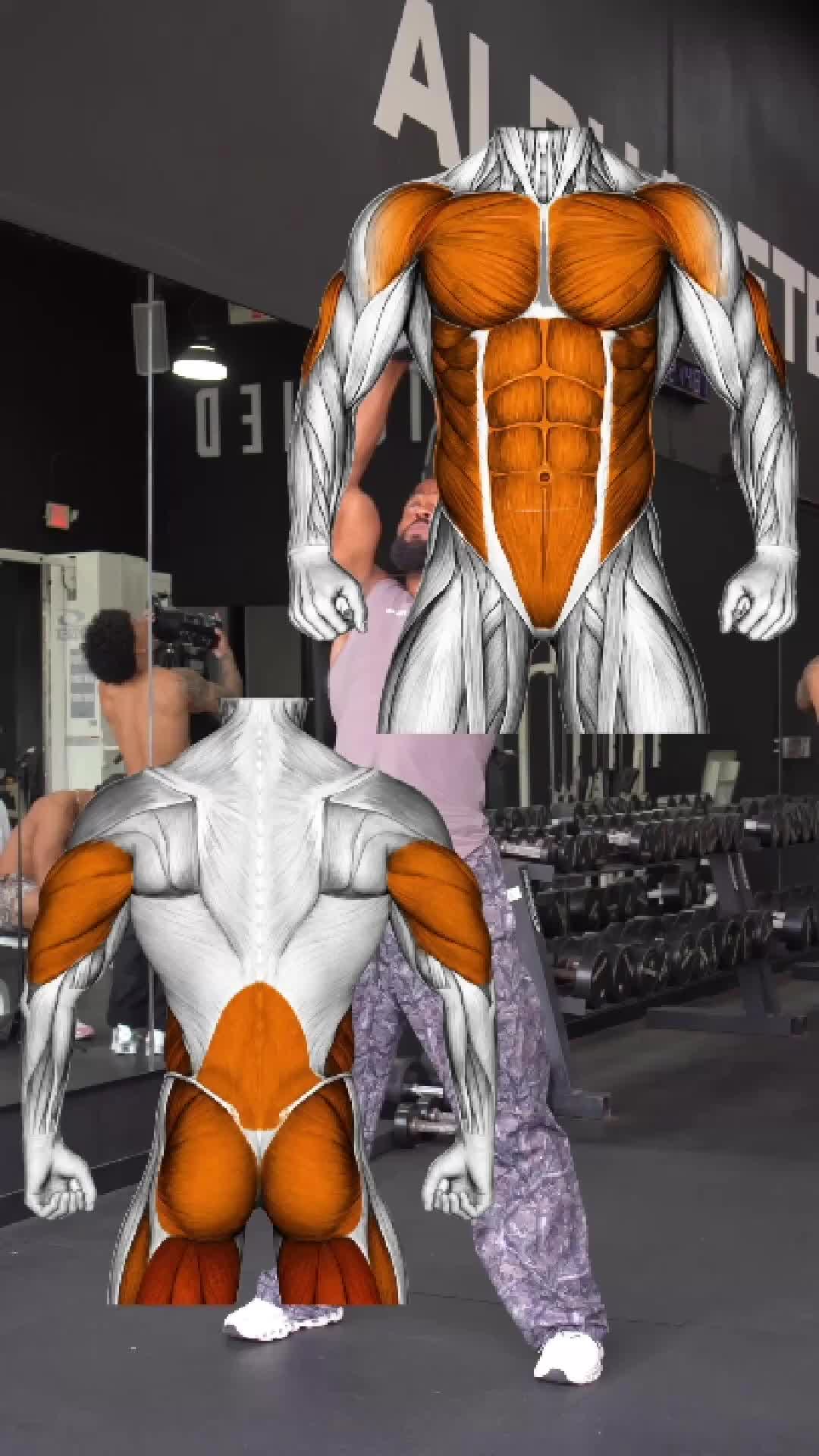 @Combat Ready Fitness