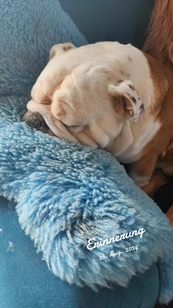 @cori.friedy.toni