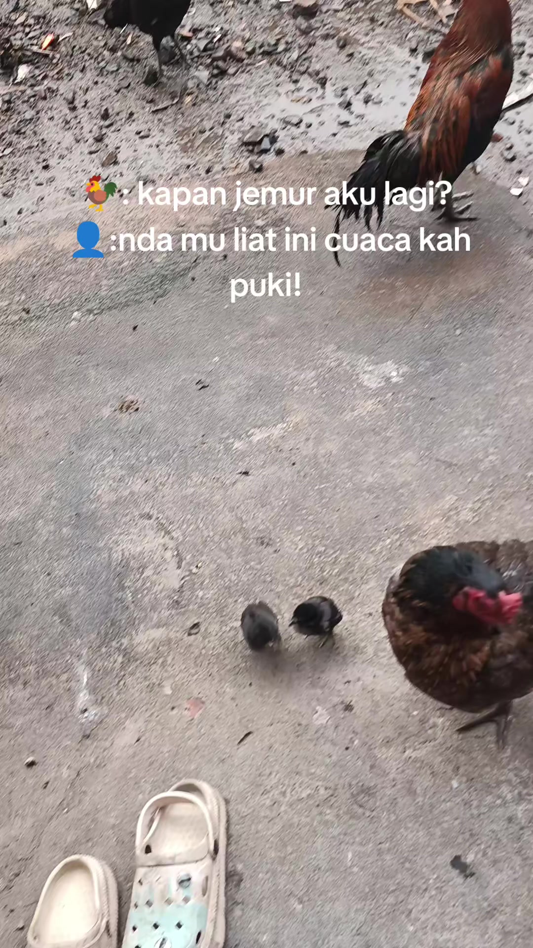 @pikkii