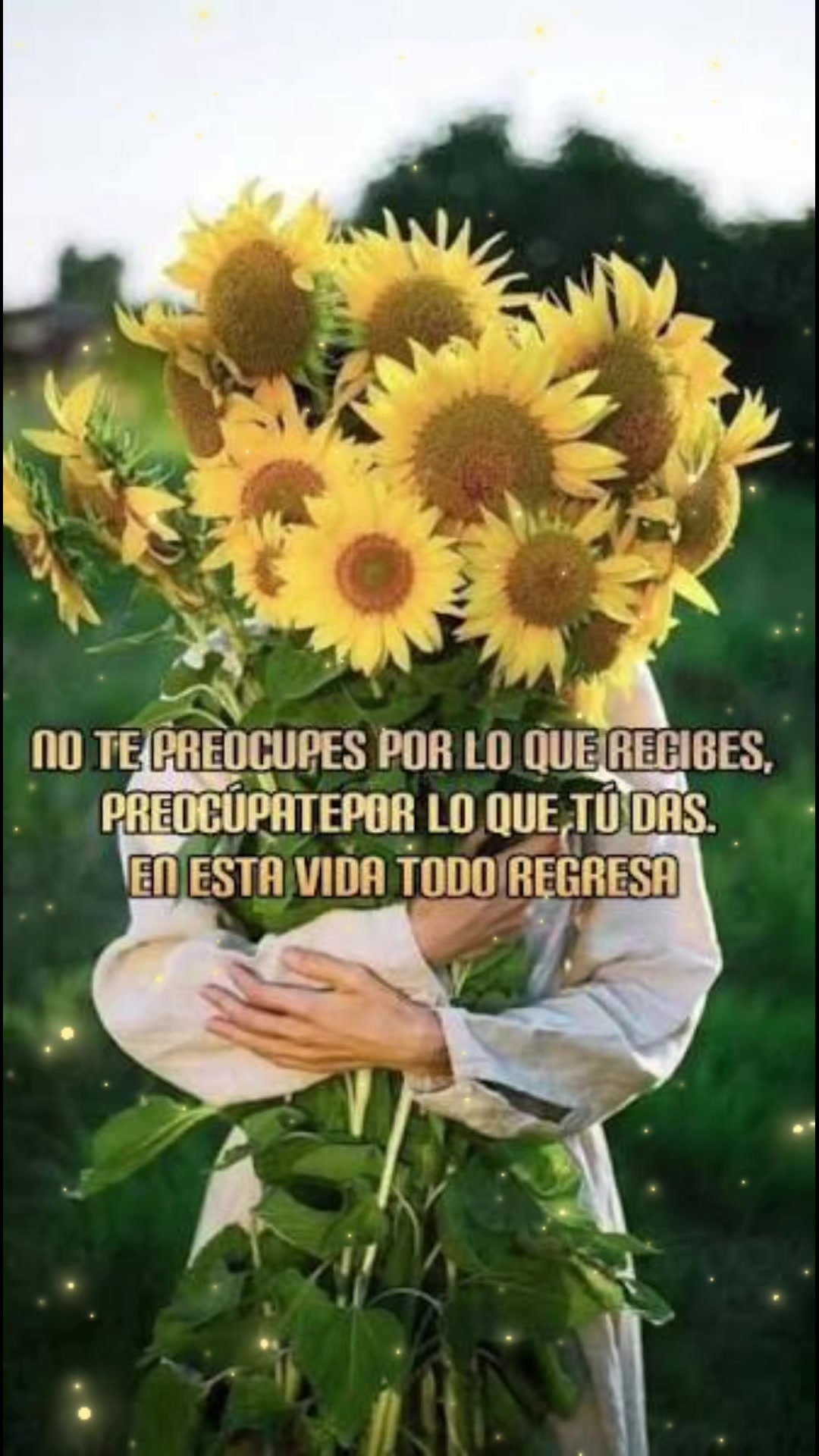 @amparo