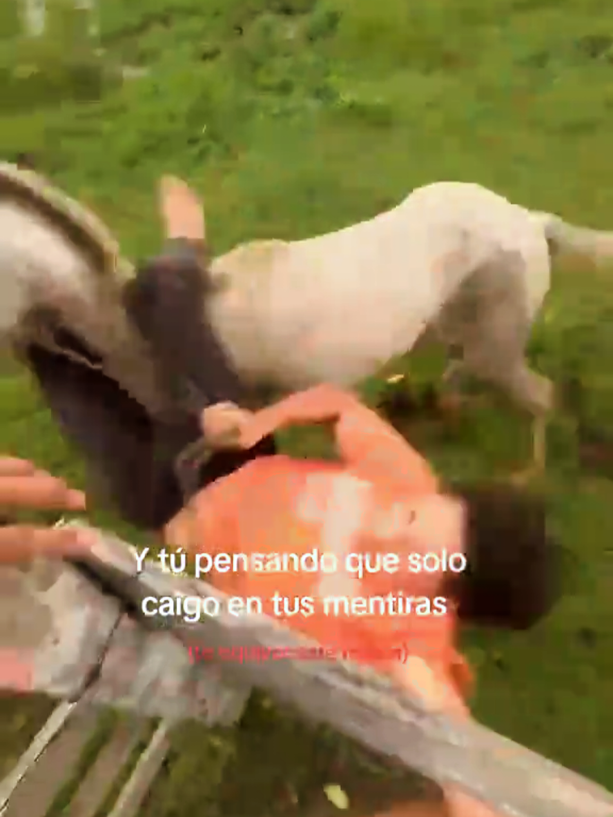 @Caballos y Reatas