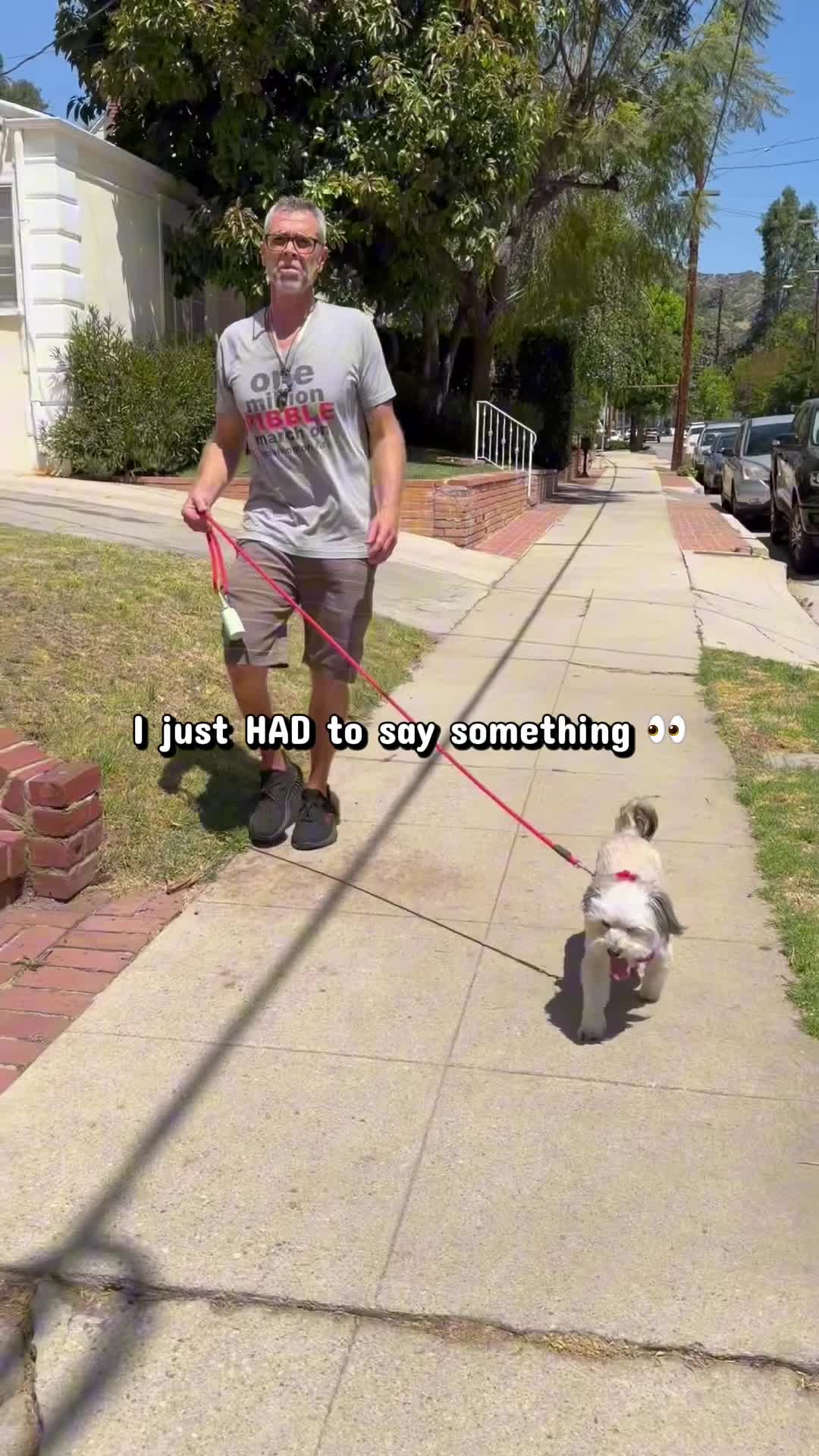 @Joyride Dogs