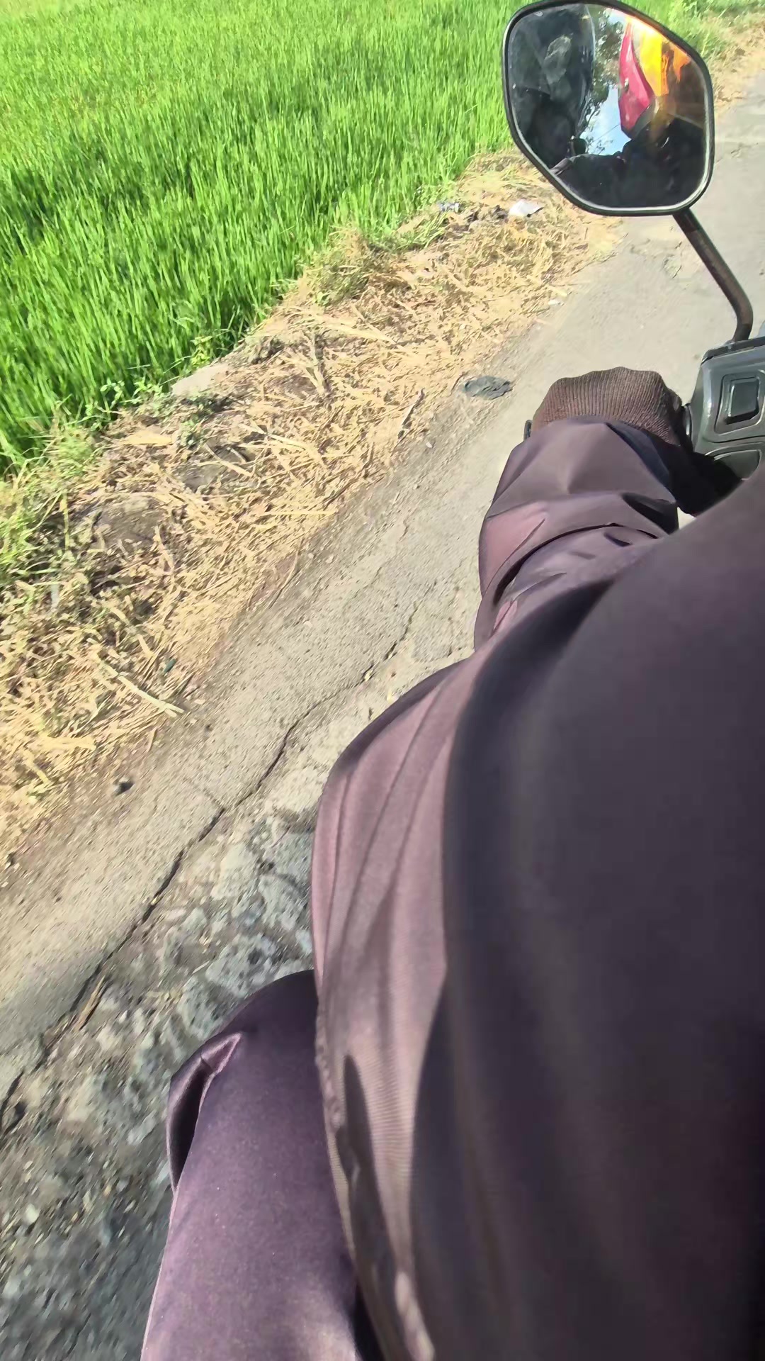 @Ninja🥷