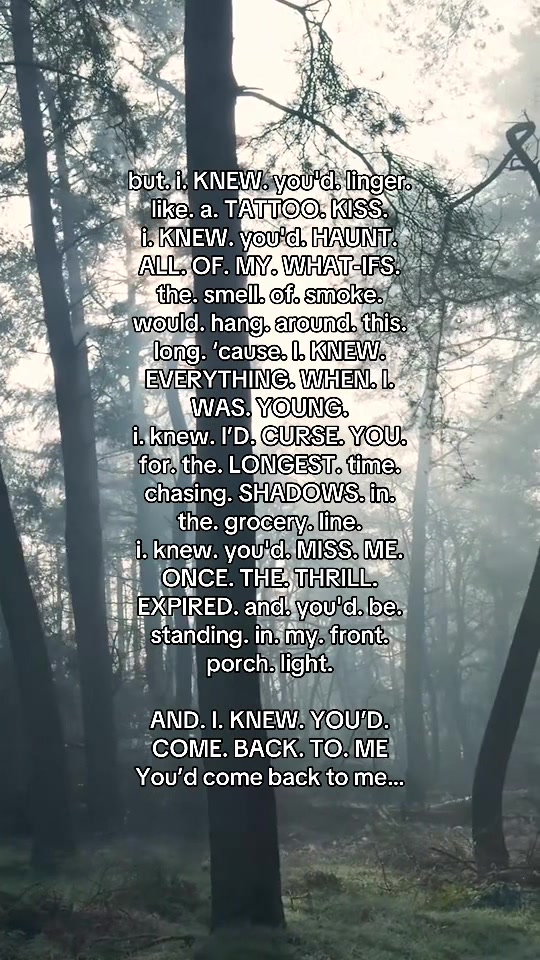 @swiftietude ⸆⸉