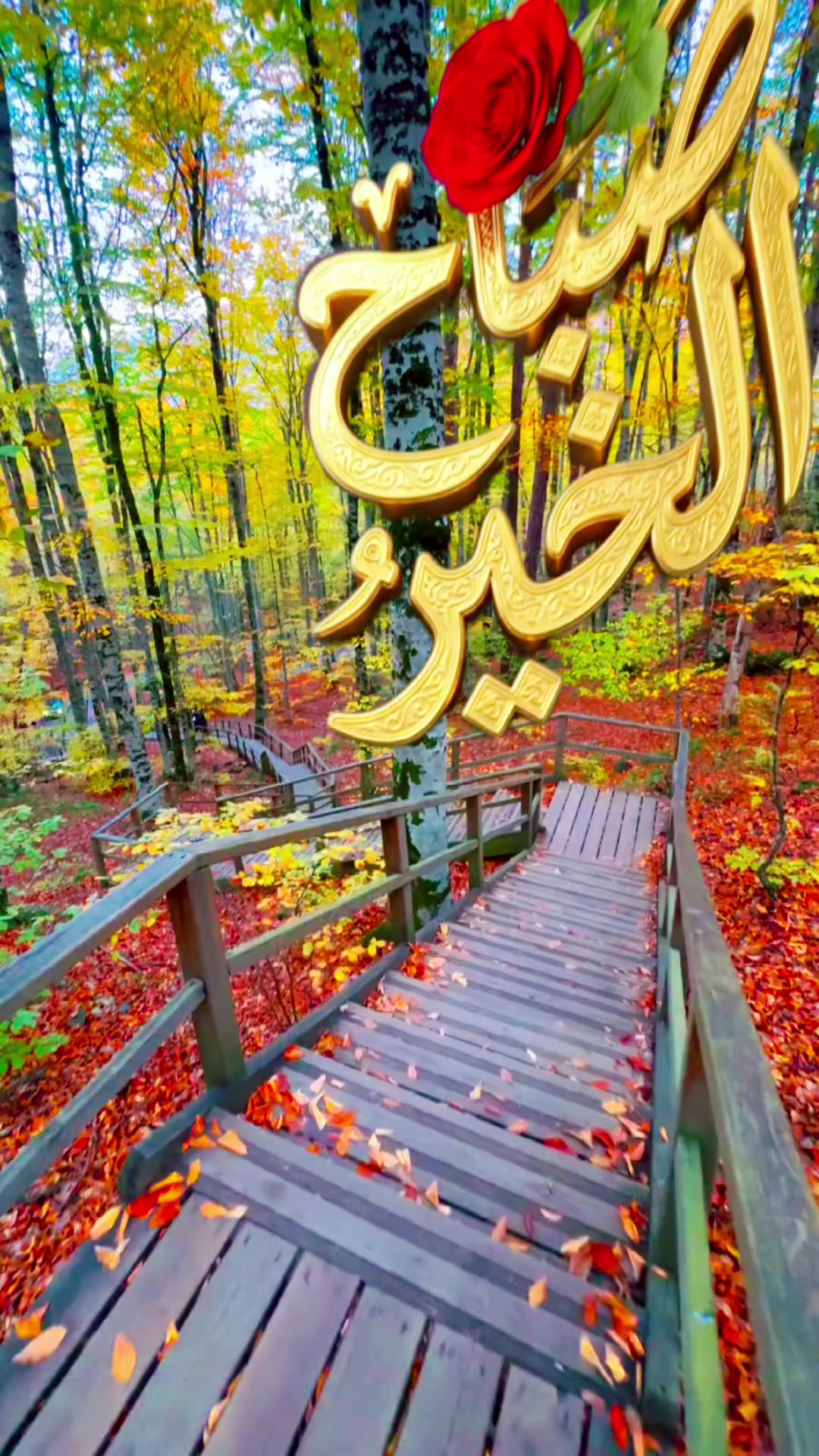 @🌟𝗦𝗼𝘂𝘇𝗮𝗻 𝗖𝗵𝗮𝗺𝘀