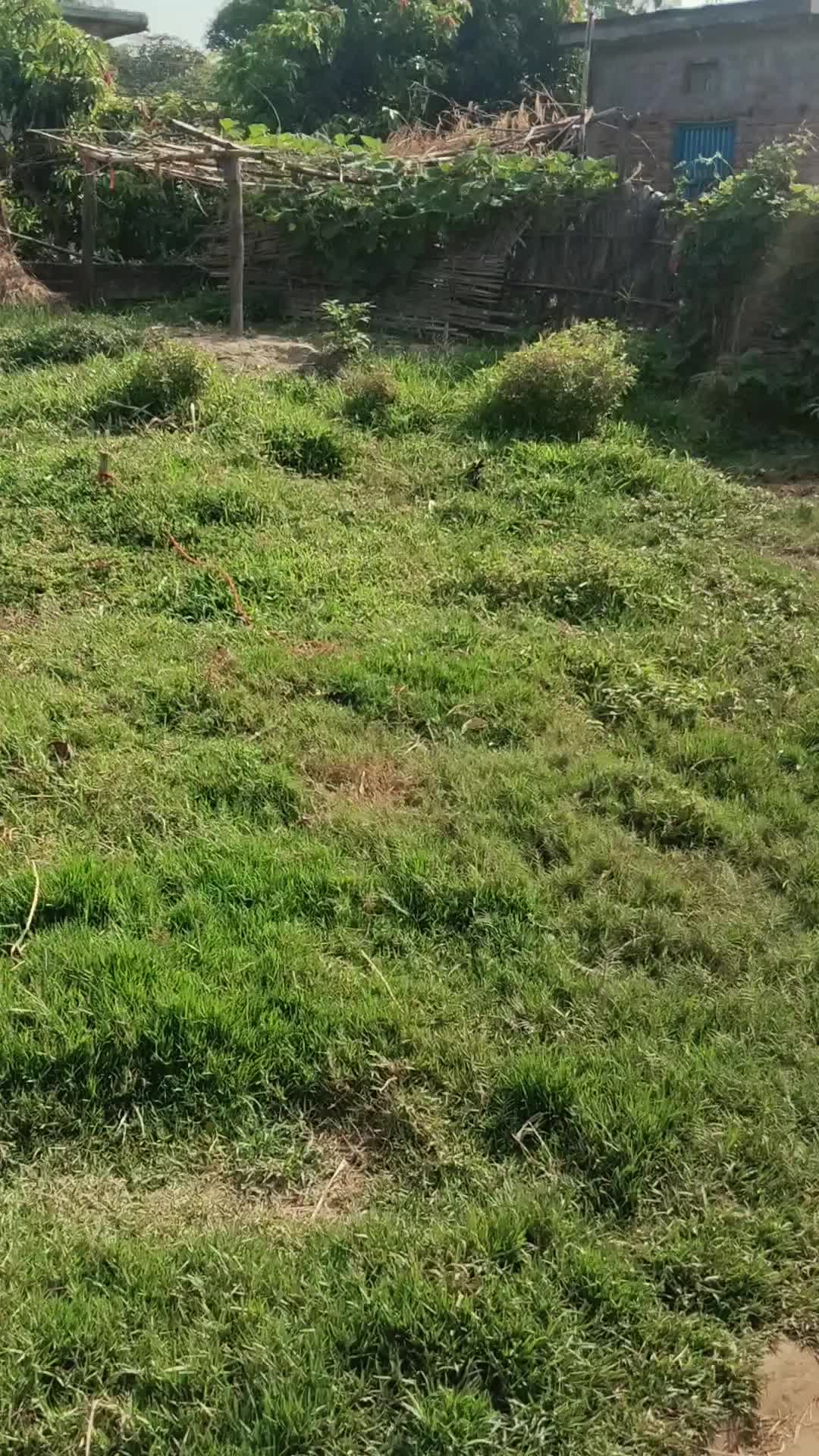 @Rajendra bhai mukhiya