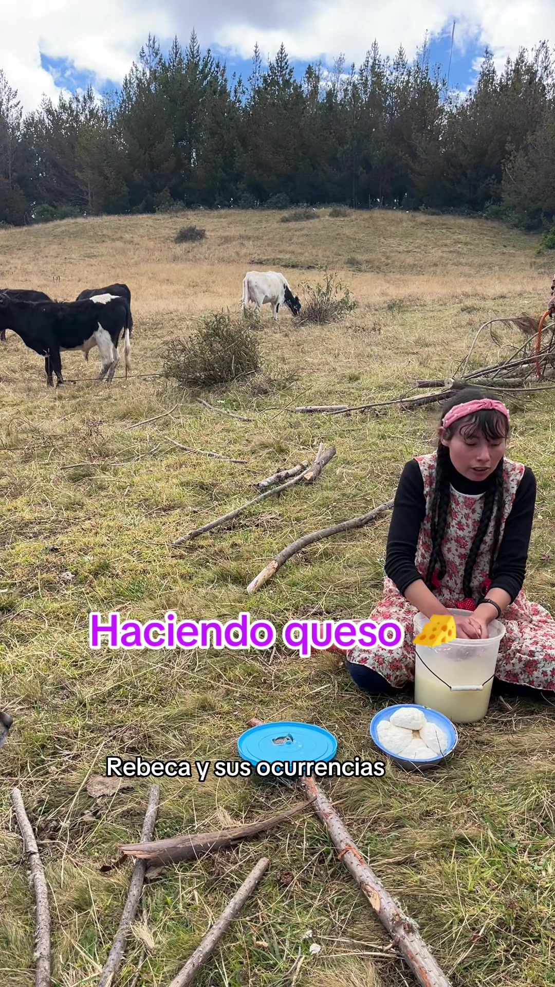 @🐈Rebeca y sus ocurrencias