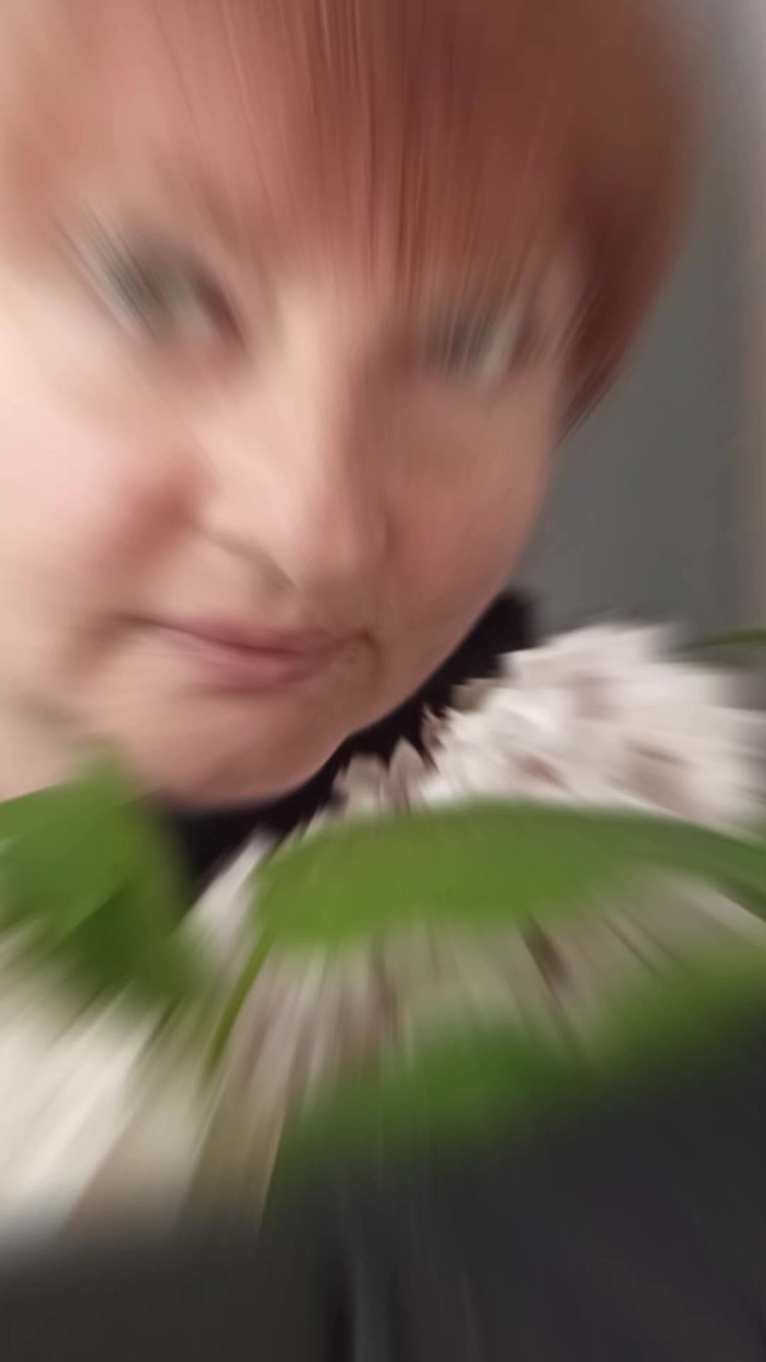 @身着幸福装束