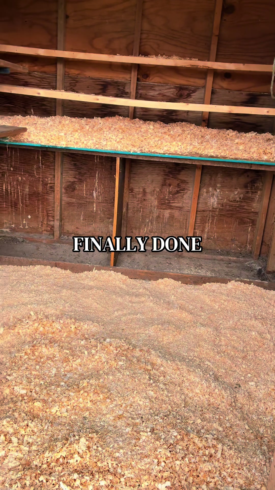 @Ferally Fowl Farmstead
