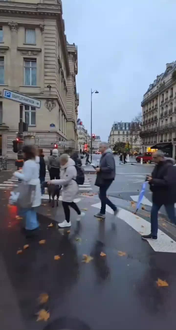@PARISIEN__78🇩🇿🇨🇵