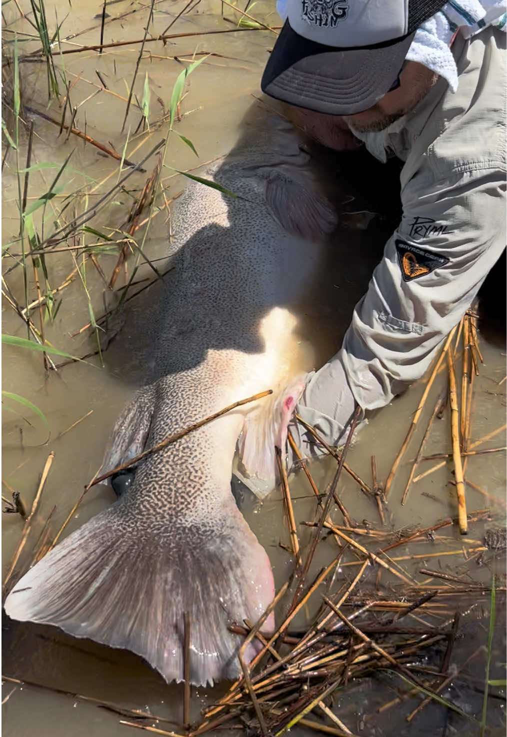 @NON-STOP FISHING