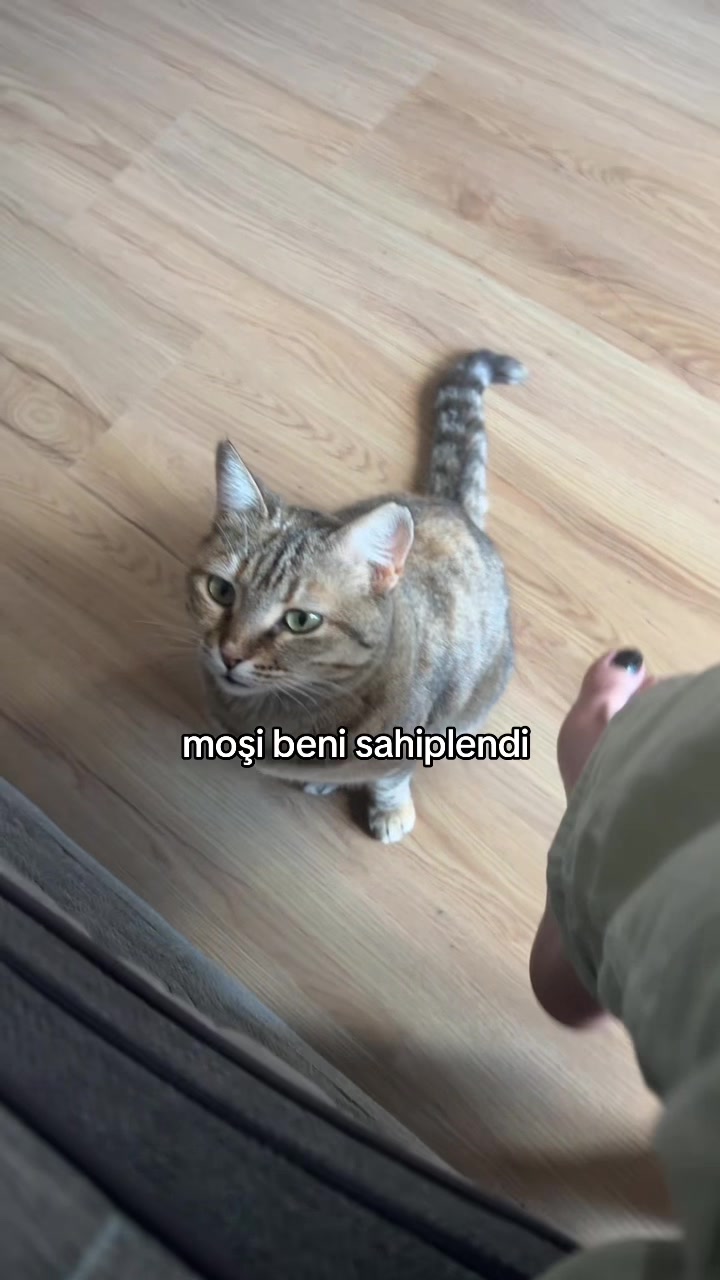 @ekimezda