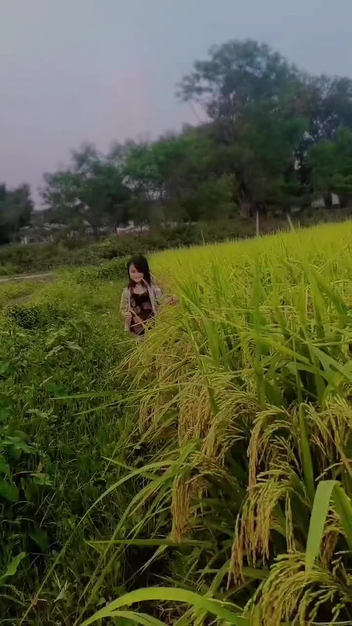 @दिनेश सिर्पाली