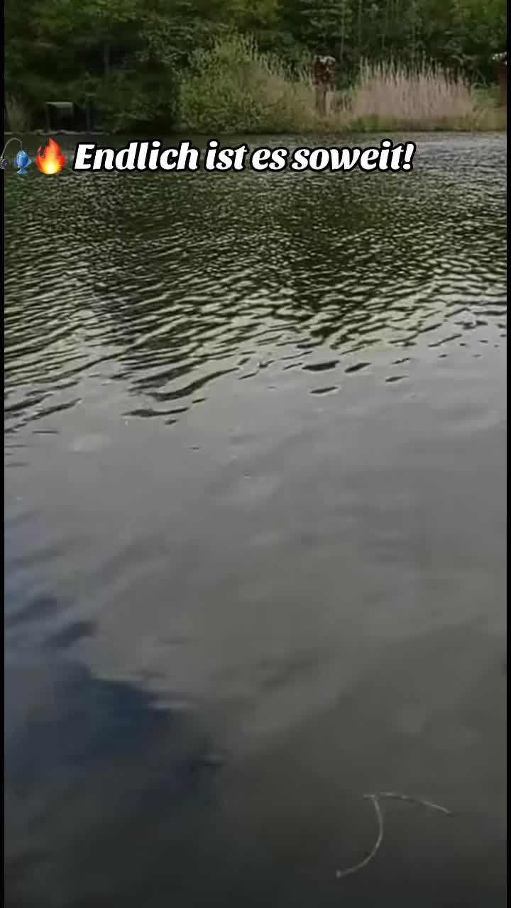 @endlessfishing
