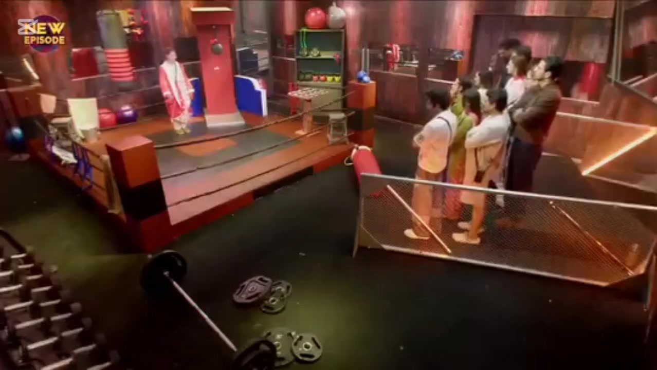 @live tv