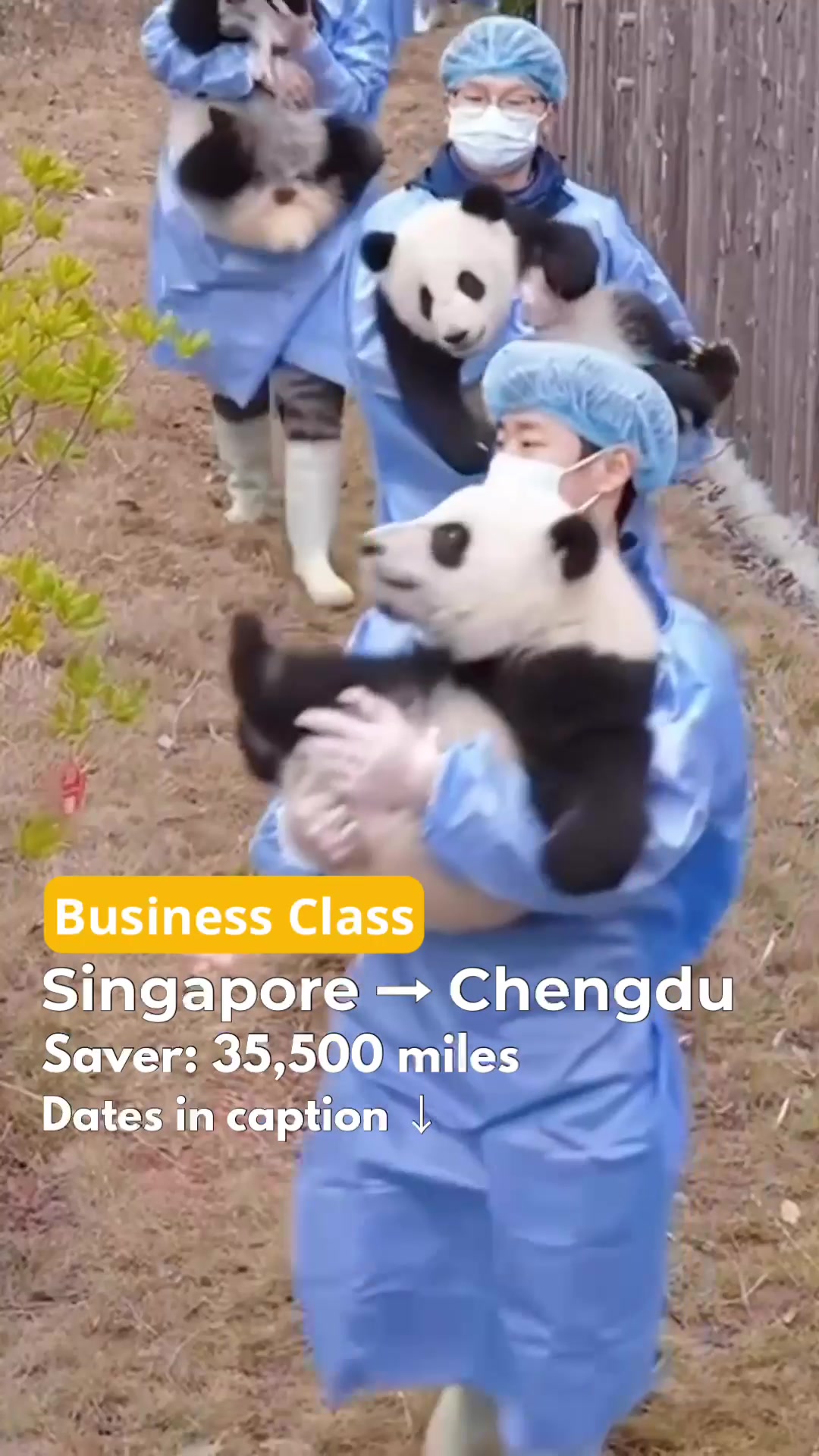@MerlionMiles