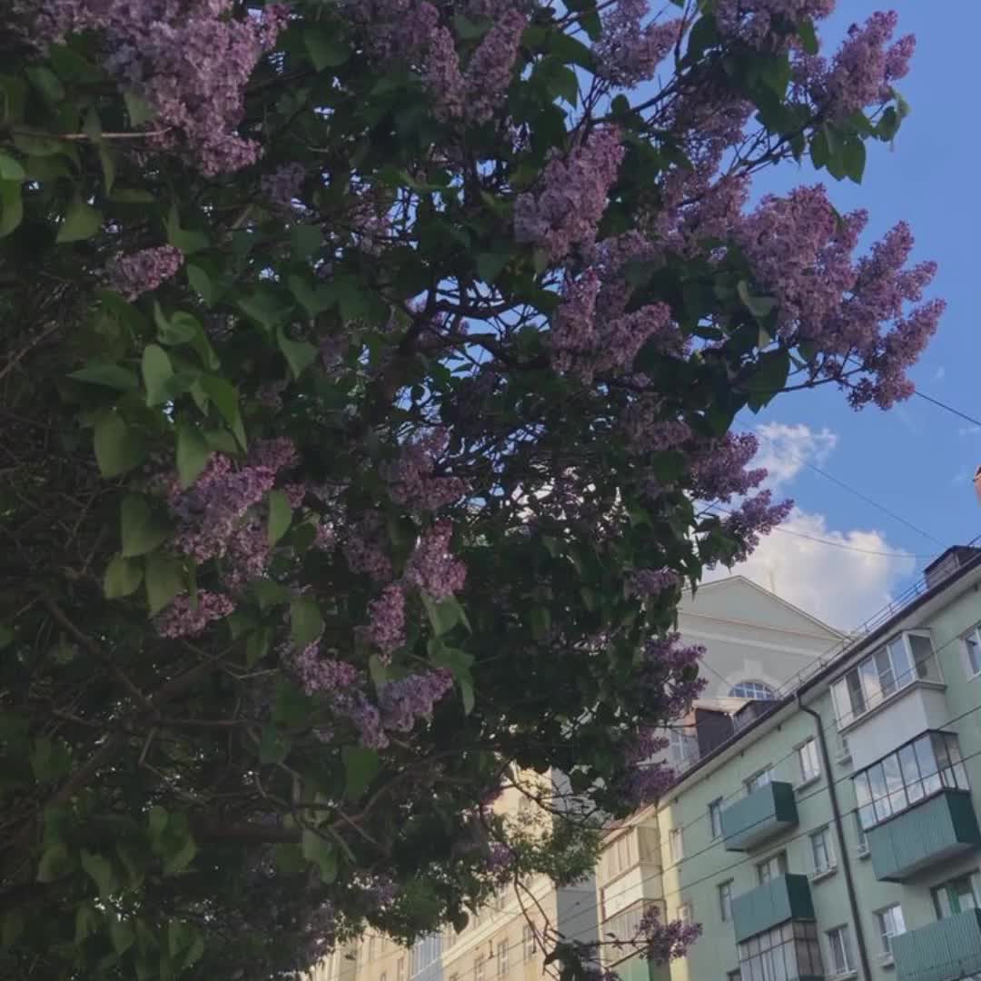 @тгк: больше, чем музыка