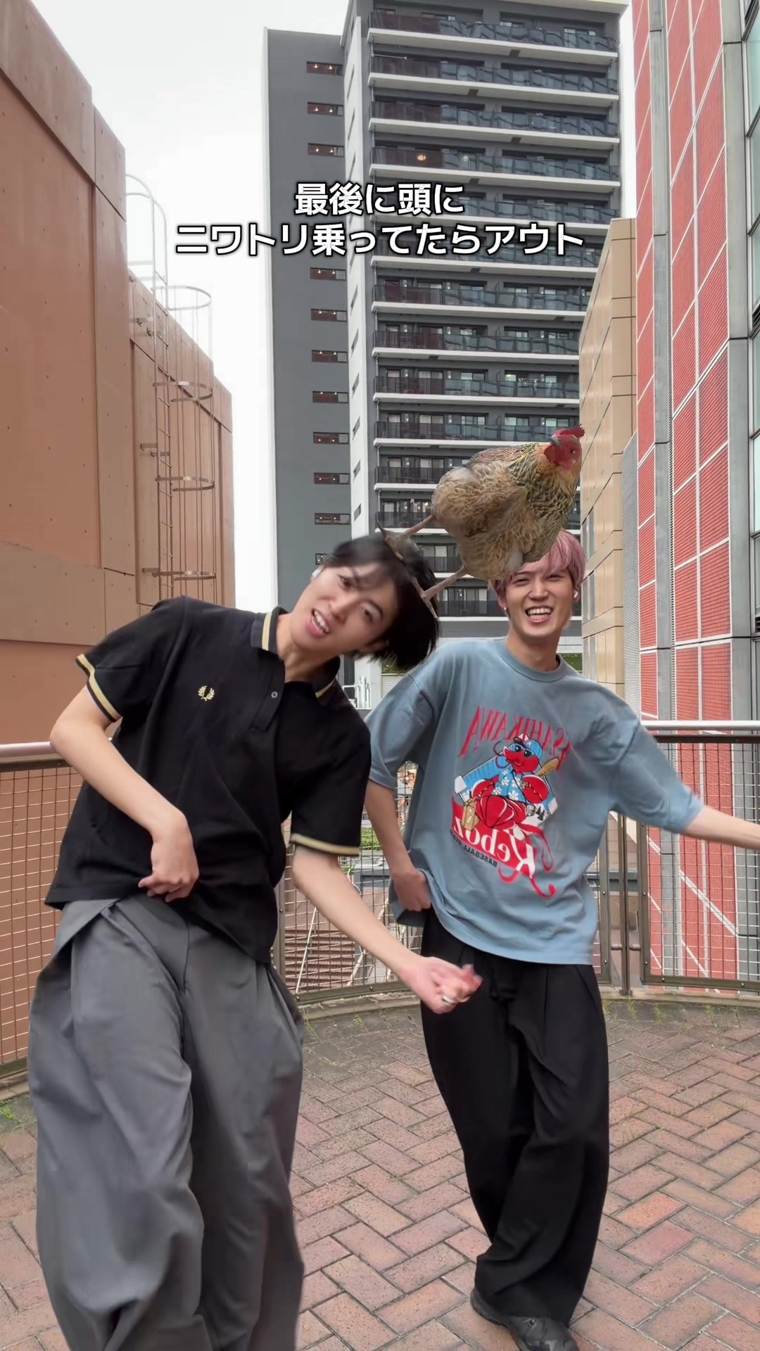 @LokuRok/ロクロク