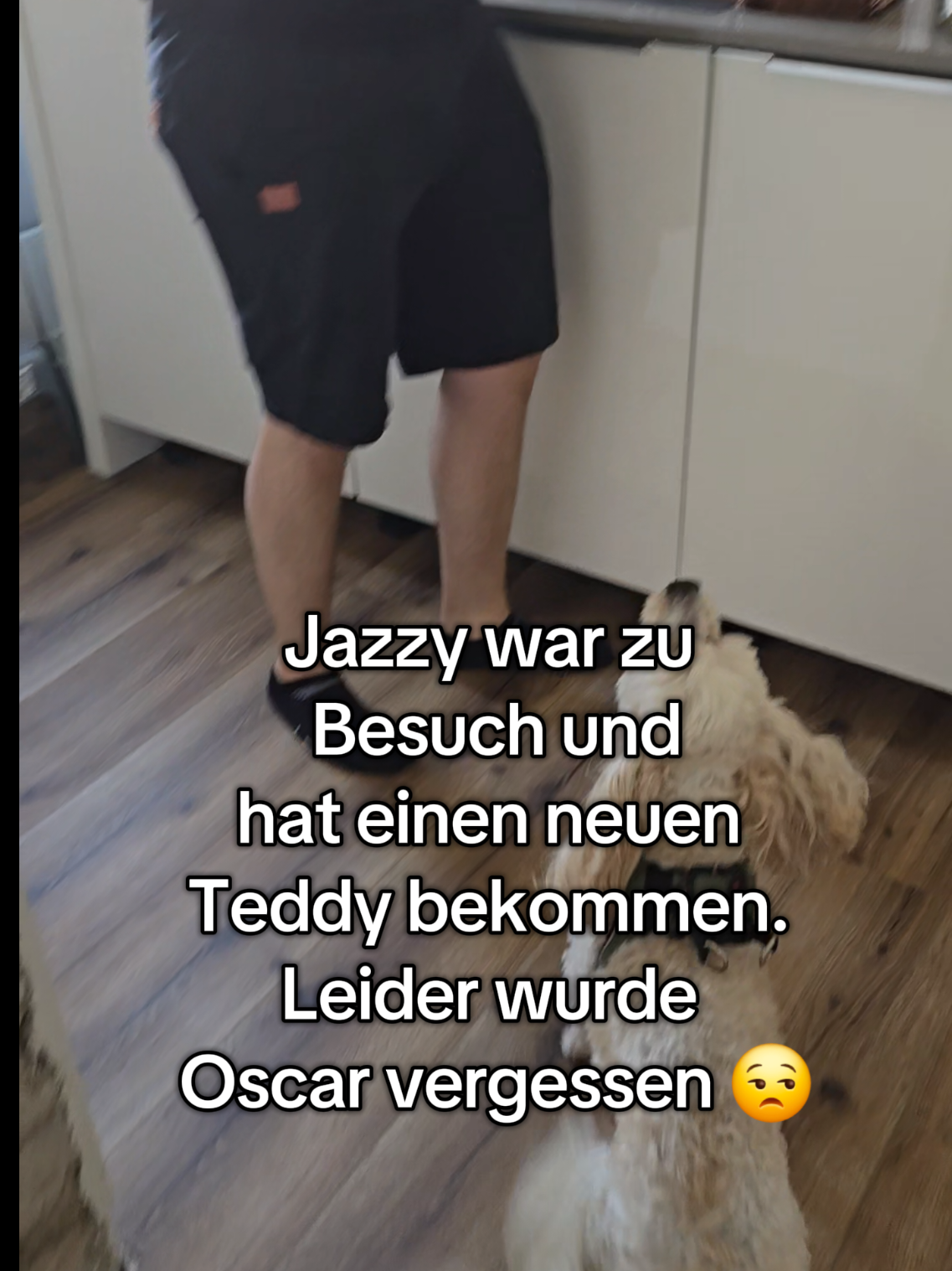 @Jazzy&Oscar's Hundeblog