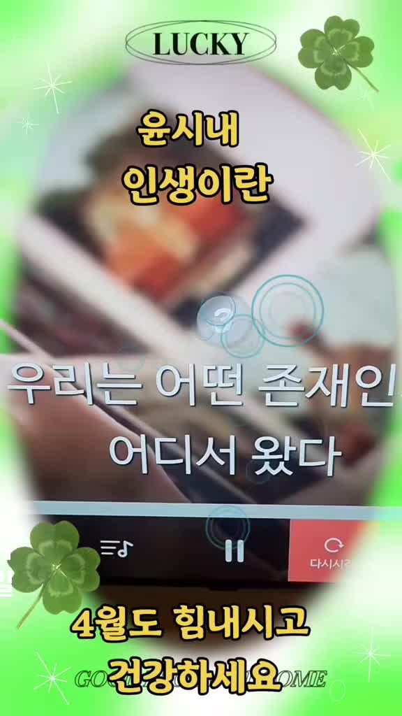 @써니케이