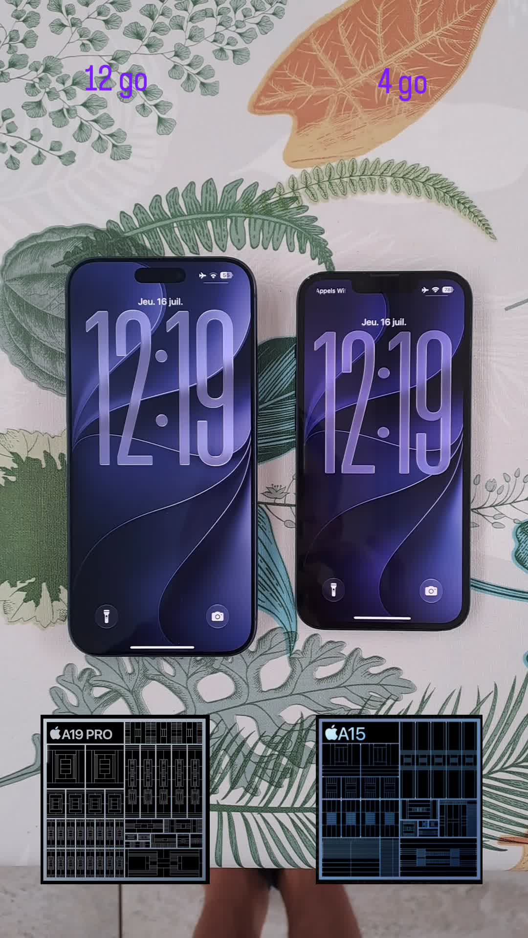 @AppleDesigner