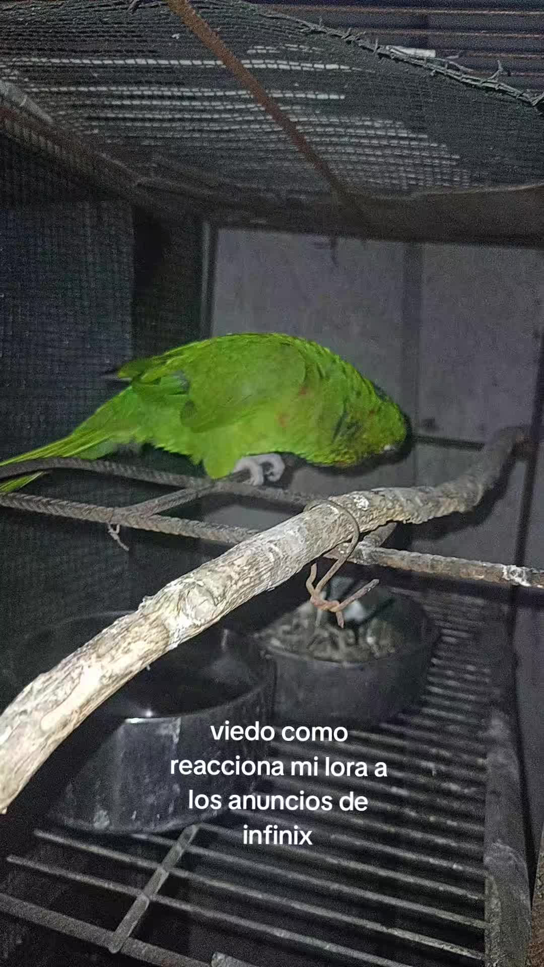 @khe?💜