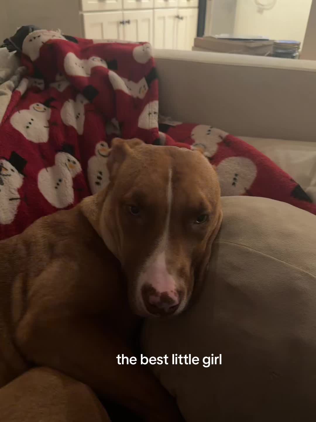 @jess